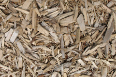 biomass boilers Pen Y Fai